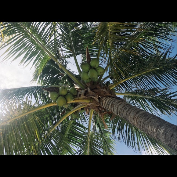 Profile Picture of Bella Rulapaugh (@bellarulapugh) on Poshmark