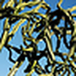 Profile Picture of michael barr (@zubarsky) on Flickr