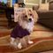 Profile Picture of Nancy Cusick (@nancy.cusick.984) on Facebook