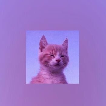 Profile Picture of Polanco Mariel 😍 (@MarielPolanco12) on Twitter