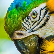 Profile Picture of Shelley Dawn Blagg (@BlaggDawn) on Twitter