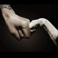 David N Michelle Abramowski - Quora Profile Picture of David N Michelle Abramowski (@david-n-michelle-abramowski) on Quora