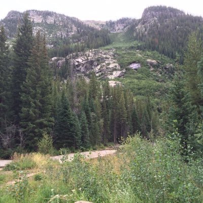 Profile Picture of Tom Gluck (@TgluckTom) on Twitter