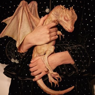 Profile Picture of Chris Gouveia (@flexisorous) on Twitter