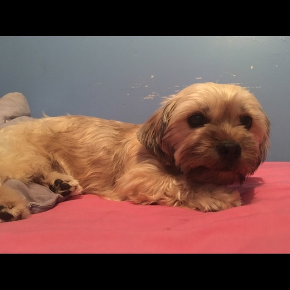 Profile Picture of Jonisha Conover (@neish415) on Poshmark