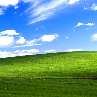 Profile Picture of Jade Baldwin (@jadebaldwin15) on Twitter