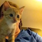 Profile Picture of Phyllis Lind (@phyl4jesus12) on Instagram