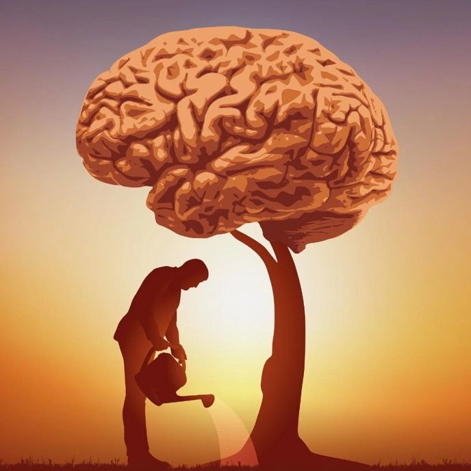 withwisdom - Tiktok Profile Picture of withwisdom (@fightwithwisdom) on Tiktok