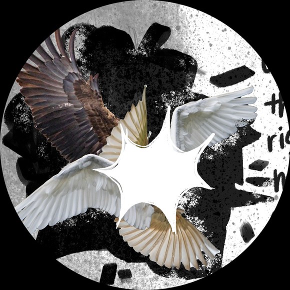 Profile Picture of Claire Jorgensen (@cejorgen) on Poshmark