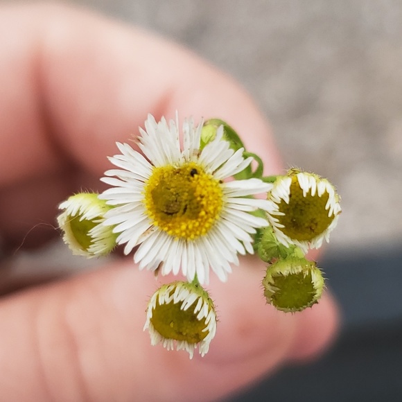 Profile Picture of Jessica Robberson (@jrobb1413) on Poshmark