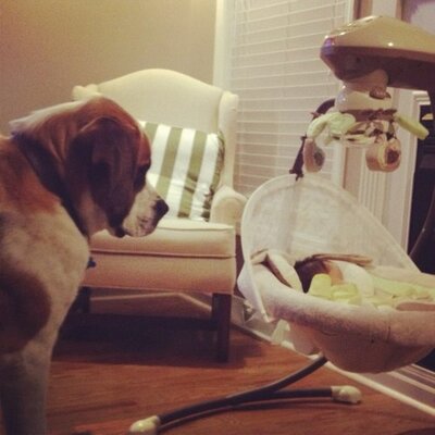 Profile Picture of Kyle Girard (@KJG5173) on Twitter