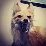 Profile Picture of Tim Murphy (@tim._.murphy) on Instagram