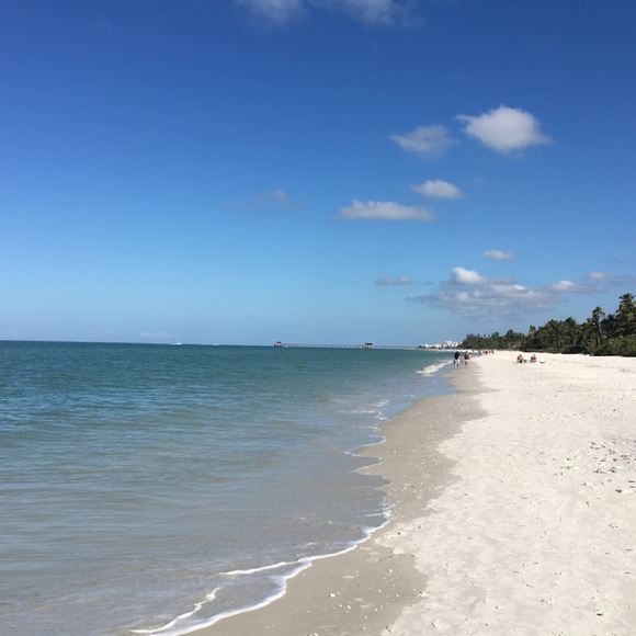 Profile Picture of Renee Cullmann (@reneecee819) on Poshmark