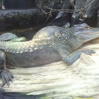 Jeremy Lumpkins - Facebook Profile Picture of Jeremy Lumpkins (@jeremy.lumpkins.3) on Facebook