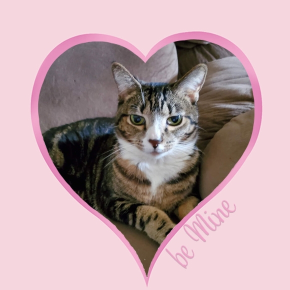 Profile Picture of Angel Tresko (@angeltresko) on Poshmark