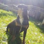 Profile Picture of Madison Pryor (@madz3134) on Instagram