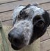 Profile Picture of John Maney (@john.maney.39) on Facebook