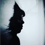 Profile Picture of Maya Newman (@mayanewman) on Instagram