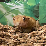 Profile Picture of Seth Lopez (@Sethisntdeadyet) on Youtube