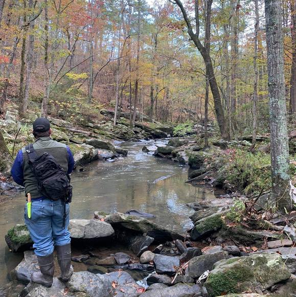 Profile Picture of Jackson Thomas (@jacksonthoma456) on Poshmark