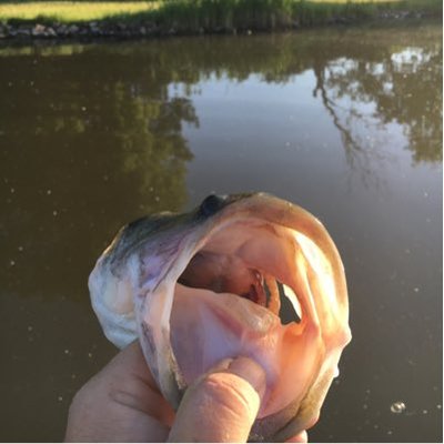 Profile Picture of Bob Darnell (@codeman1414) on Twitter