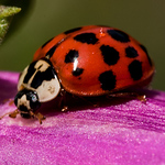 Profile Picture of Edward Morgan (@eddmorgan) on Flickr