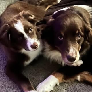 Profile Picture of Cherie Tidwell (@cherietidwell) on Instagram