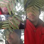 Profile Picture of Bjørn Andrew Wilson (@kzorien) on Instagram