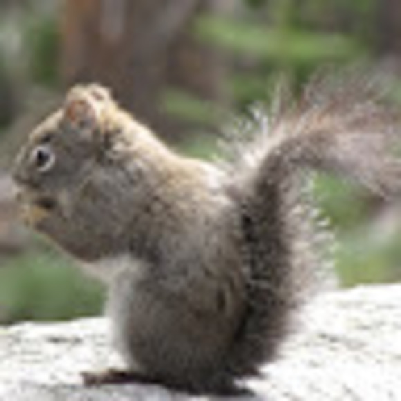 Jason Bombard - Poshmark Profile Picture of Jason Bombard (@jfbombard) on Poshmark