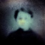 Profile Picture of Stephen Spera (@stephenspera) on Instagram