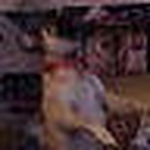Profile Picture of Chris Payne (@House of Payne) on Flickr
