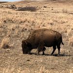 Profile Picture of Macie Walters (@macie.walters) on Instagram