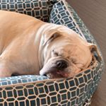 Profile Picture of Carl Elgin (@cce1974) on Instagram