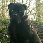 Profile Picture of Michael Skorupski (@michael.skorupski) on Instagram