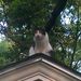 Profile Picture of Julia Turner (@dixiehen46) on Pinterest