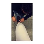 Profile Picture of Spiess Jonatan (@spiess.jonatan) on Facebook