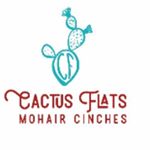 Profile Picture of Kelly winsor (@cactusflatsmohaircinches) on Instagram