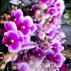 Profile Picture of Symons Kevin (@Symons-Kevin) on Facebook