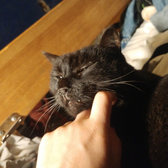 Profile Picture of Damien White (@333lem333) on Poshmark