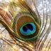 Profile Picture of Pavan Kulkarni (@pavan.kulkarni.9693001) on Facebook