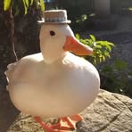 Profile Picture of Alice Wiseman (@alice.wiseman.3) on Facebook