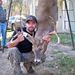 Profile Picture of Chad Oldham (@cjoldham) on Pinterest