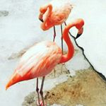 Profile Picture of Vicky Hurtado (@vicky.hurtado.779) on Instagram