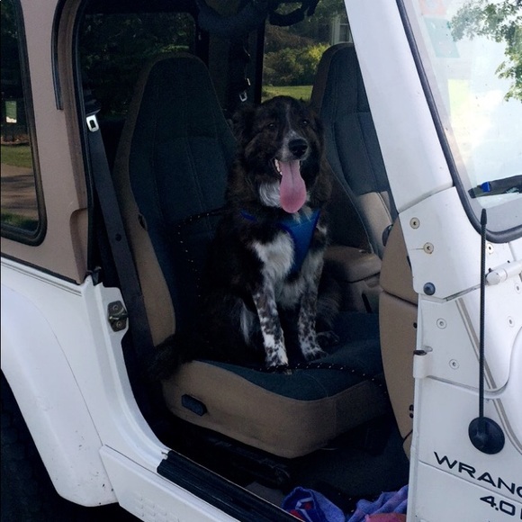 Profile Picture of Olivia Ferrell (@oliviaferrell12) on Poshmark