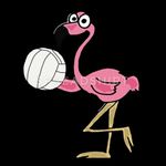 Profile Picture of Josh Miller (@volley__vert) on Instagram