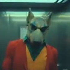 Profile Picture of Perro De Tijuana (@DougTijuana) on Twitter