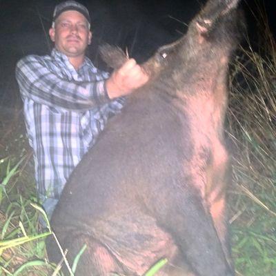 Profile Picture of Jeff Curl (@curl_jeff) on Twitter