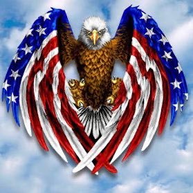 Profile Picture of Daniel Balsamo (@DanielBalsamo3) on Twitter