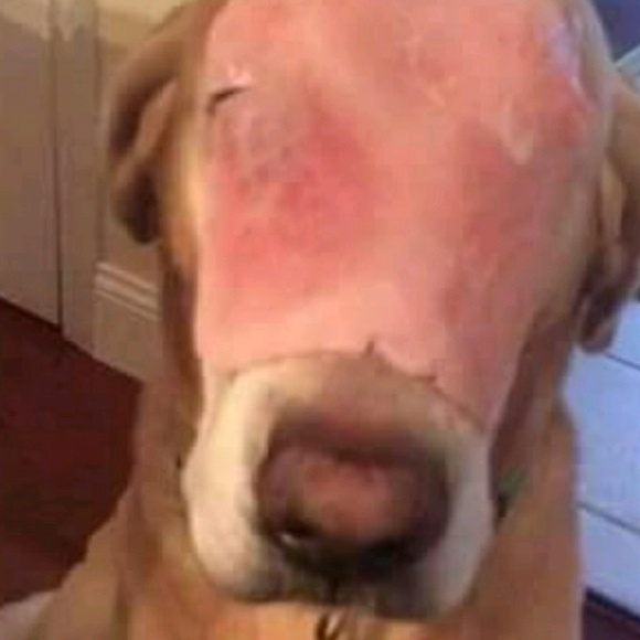 Profile Picture of Jaxon Klitzka (@klitzka97) on Poshmark