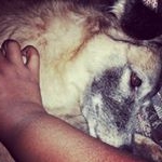 Profile Picture of Monica de Castro (@monica.decastro.37) on Instagram